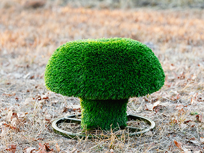 Топиари гриб Сыроежка, размер S - газон Deluxe