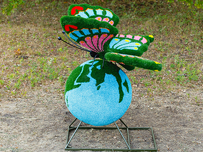 Топиари композиция Бабочка на земном шаре №1 - газон Eco