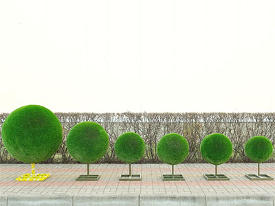 Топиари композиция шары Лики - газон Deluxe