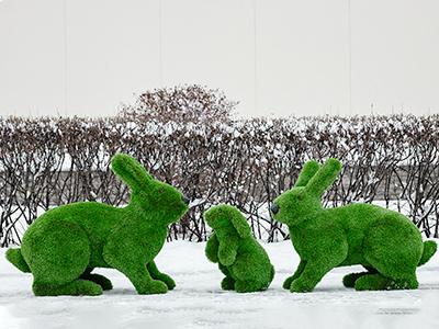 Топиари композиция Зайцы, 3 шт - газон Premium