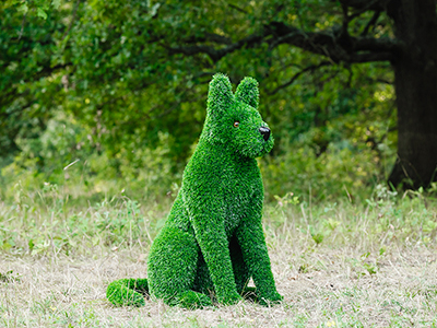 Топиари собака Барбос - газон Eco
