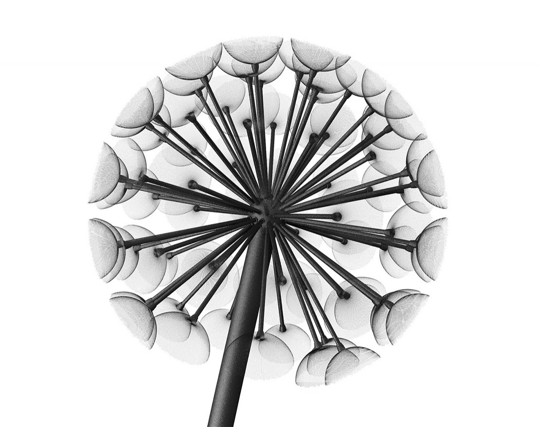 Фонарь уличный Данди 4м/1200 (комплект) - вид 4