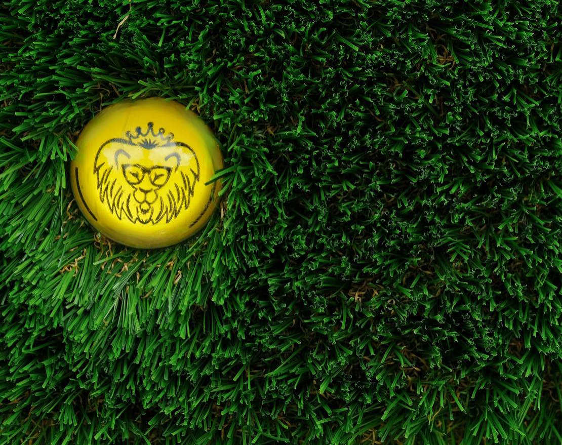 Топиари Композиция гусары - газон Deluxe - вид 2